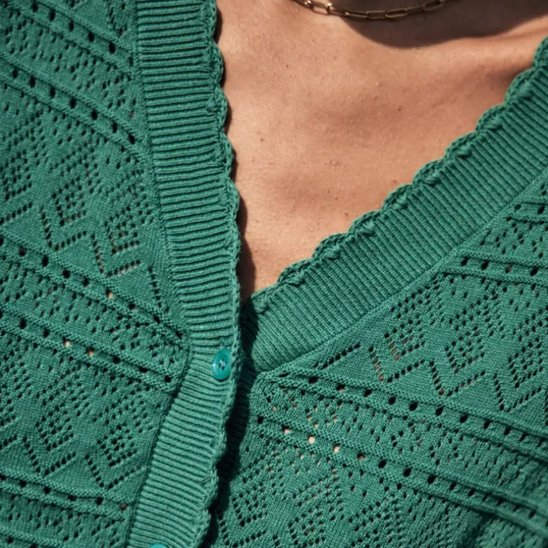 Top Gilet cardigan Freeman T Porter femme Pradda vert